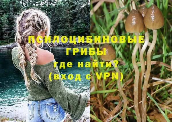 ГАЛЛЮЦИНОГЕННЫЕ ГРИБЫ Алексеевка