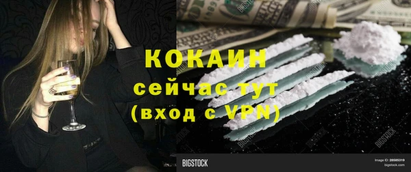 соль ск Алзамай